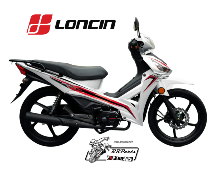 LONCIN VISA 110 (pollerita)